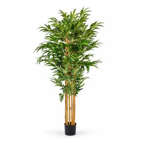TREE2(1)