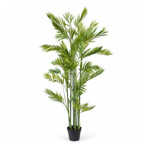 TREE4